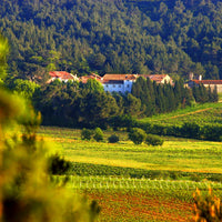 Château de Caraguilhes, Les Gourgoules rouge, Corbières 2021