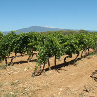 Le Thomas de Labadens, Vacqueyras blanc 2022