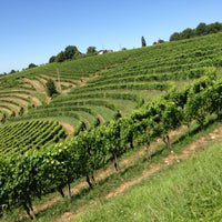 Chateau Jolys, Jurançon zoet 2019