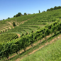 Chateau Jolys, Jurançon sec 2020