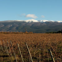 Le Thomas de Labadens, Vacqueyras blanc 2022