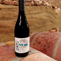 Le Panisse de Labadens, Crozes Hermitage rouge 2021