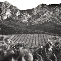Domaine Pouderoux, Latour de Grés magnum 2021