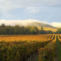 Domaine la Borie, tradition, Cahors 2020