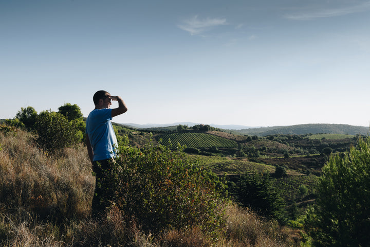 Domaine la Lauzeta - St Chinian