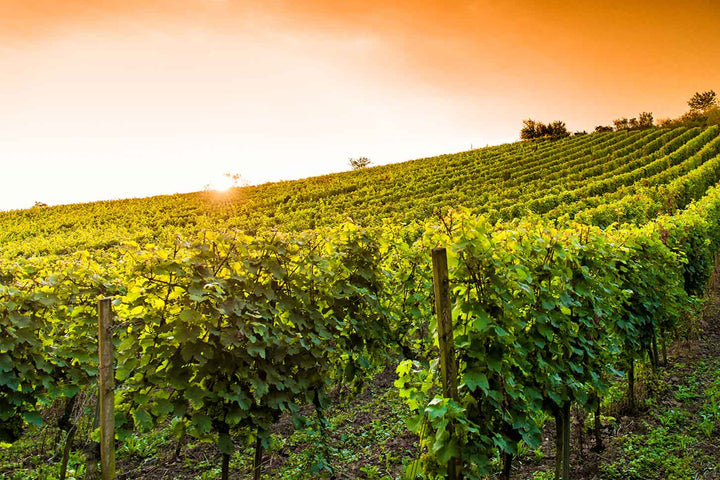 Chateau Haut-Sarthes