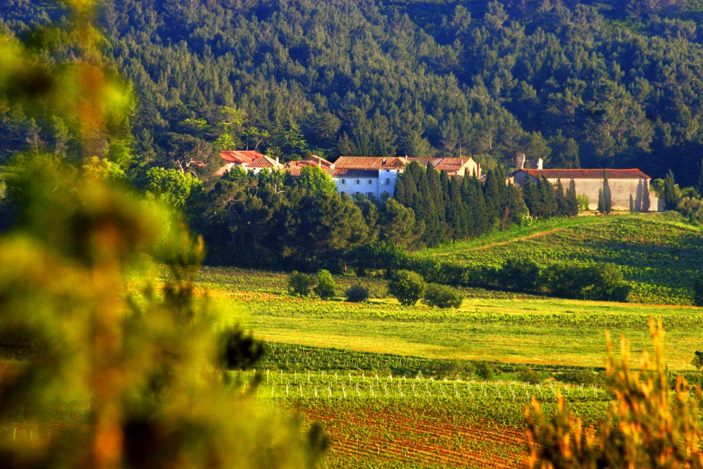 Château de Caraguilhes, Les Gourgoules rouge, Corbières 2021