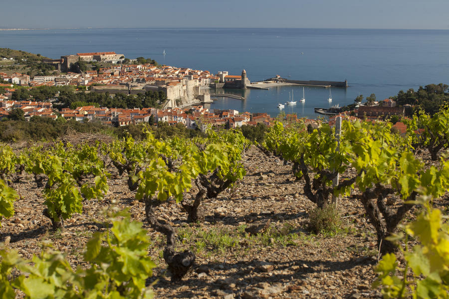 Domaine Piétri Geraud, Collioure rouge &