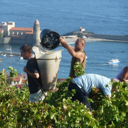 Domaine Piétri Geraud, Collioure rouge &