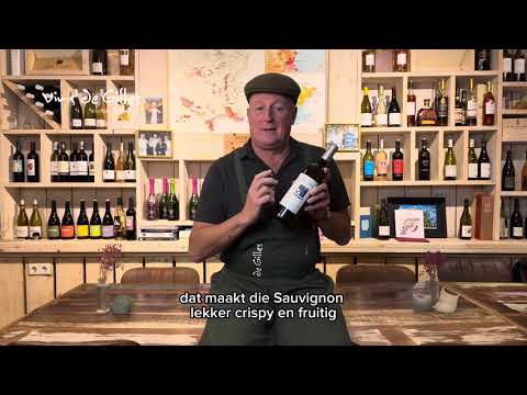 Chateau Puy Servain, Marjolaine 2022