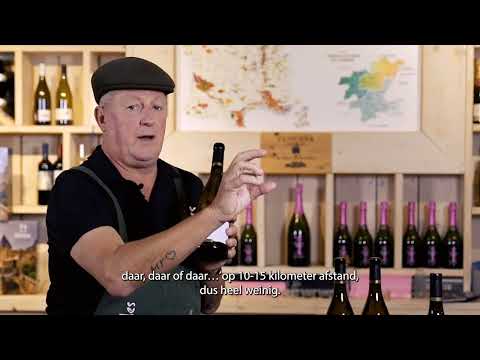Toques et Clochers, terroir Oceanique, Limoux 2020 (75 cl)