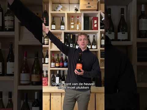 Terre d Ensems, L' Amphoiré 2021