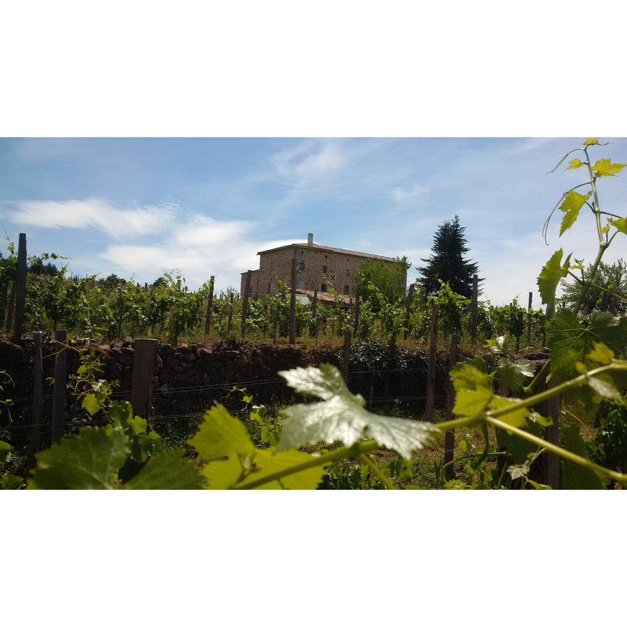 Domaine des 7 pierres, Saint-Joseph rouge 2018