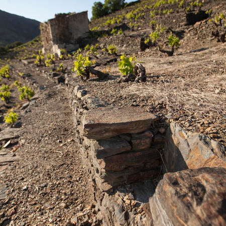 Domaine Piétri Geraud, Banyuls Méditerranée 2018