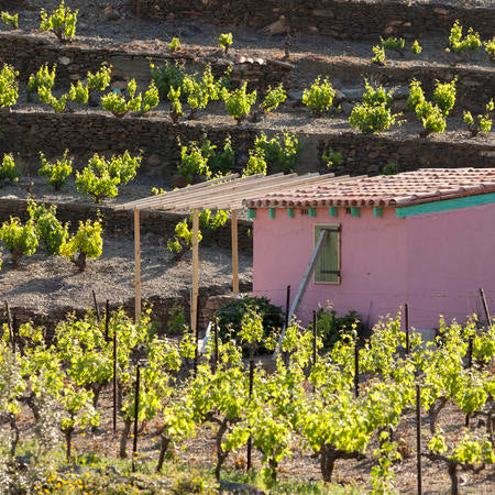 Domaine Piétri Geraud, Banyuls Méditerranée 2018