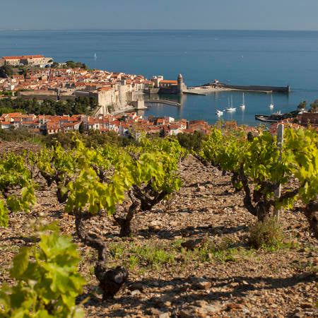 Domaine Piétri Geraud, Banyuls Méditerranée 2018