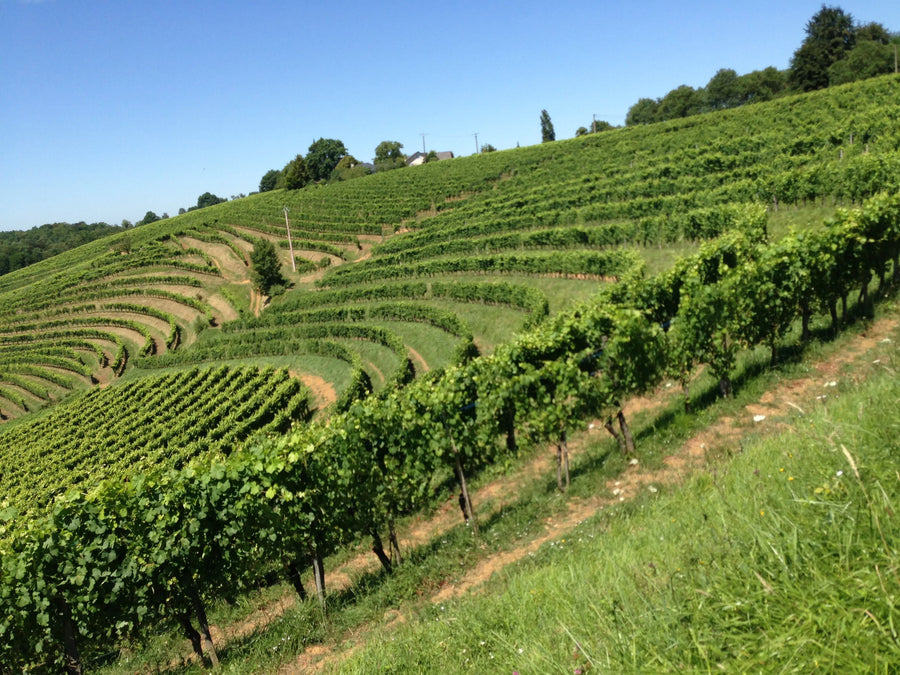 Chateau Jolys, Jurançon sec 2020